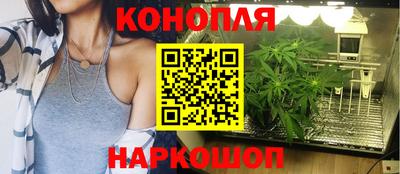jwh Лесосибирск